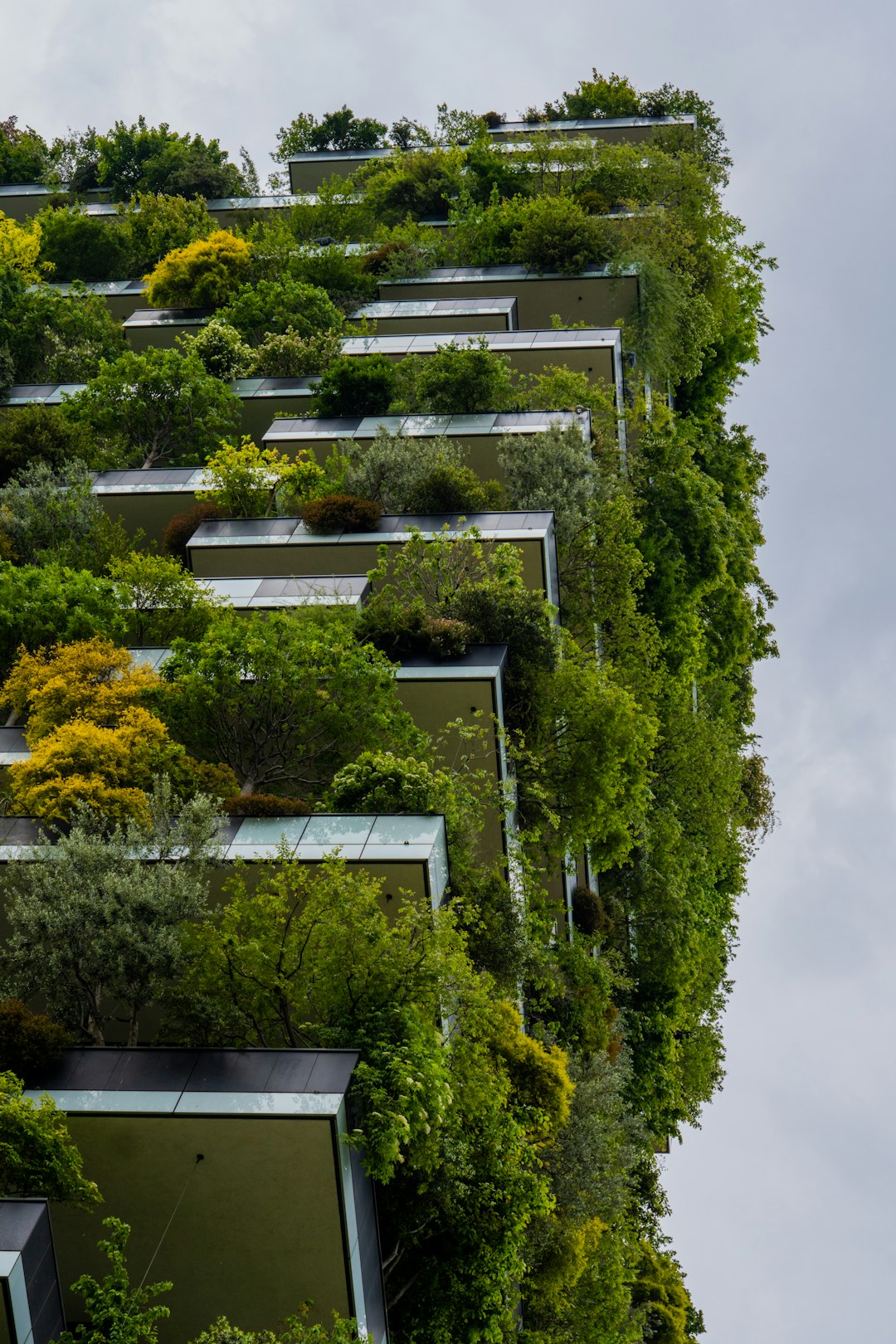Sustainable Building Solutions