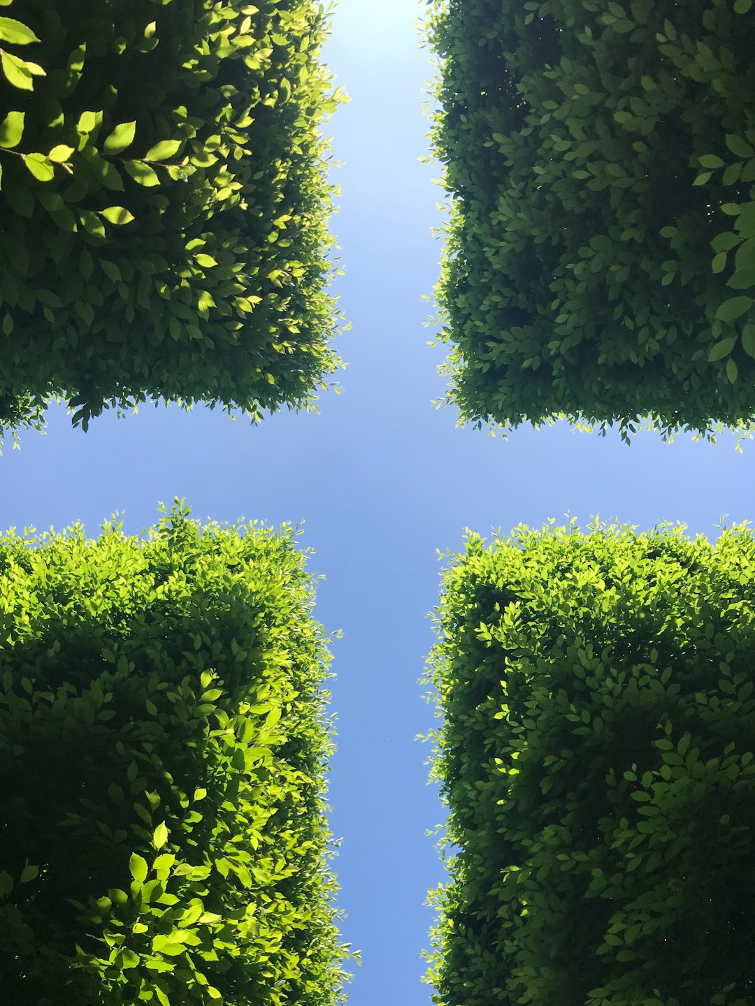Environmental Consulting