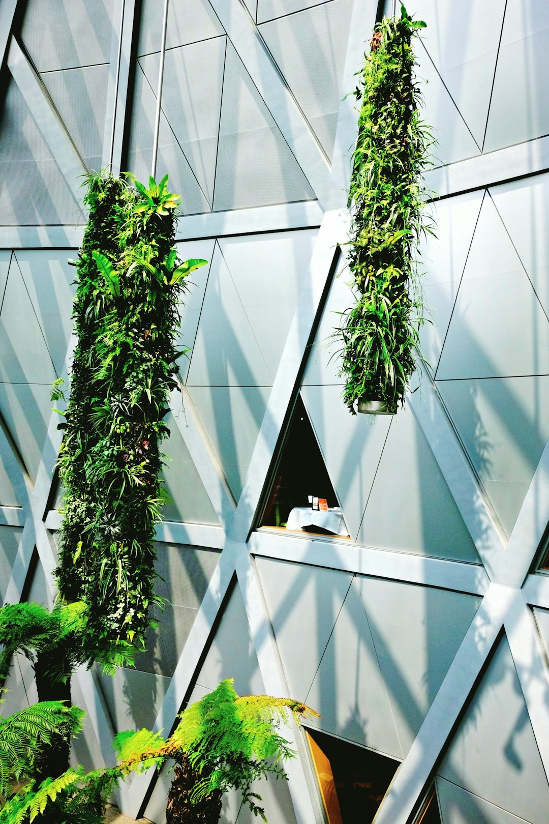 Sustainable Architecture Services